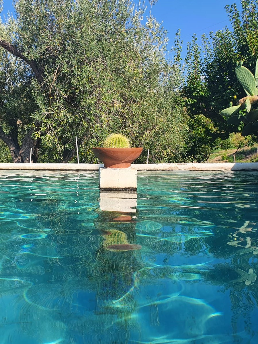 Vanessa Cardui collesano_struttura con piscina